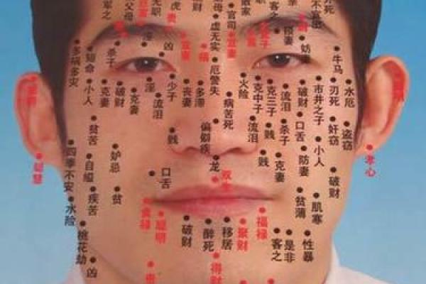 身上最好的16痣相 女人身上最好的三颗痣图解