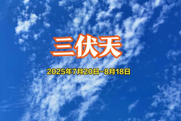 2021年三伏天具体从几月几号开始到几月几号正式结束？