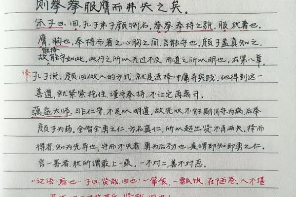 颜回之死(颜回之死文言文)