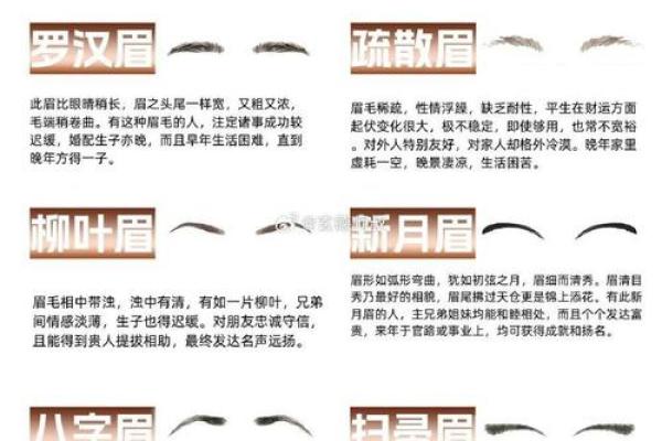 眉毛有什么说法 女人没有眉毛有什么说法