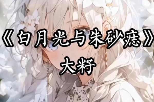 白月光与朱砂痣歌词完整版 白月光与朱砂痣小说免费阅读
