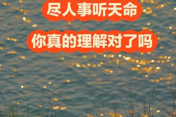 尽天命前一句 尽什么听天命