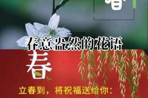 2025年立春准确时间 2025年立春是几点到几点钟