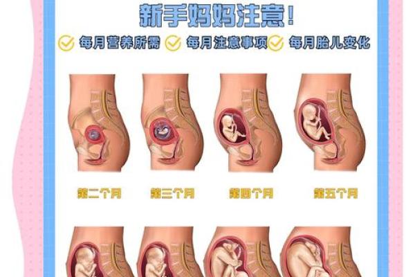 10天是几个月 10天是多少个月