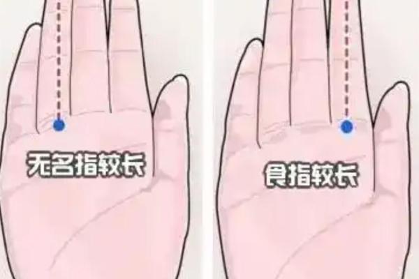 无名指长食指含义 无名指长过食指代表什么
