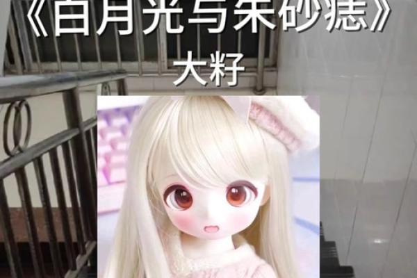 白月光好还是朱砂痣好 白月光与朱砂痣学生版村里的孩儿歌词