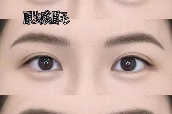 一道眉毛对不对 一道眉毛还是一条眉毛