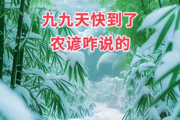 九九天具体是指哪一天，它在中国传统节气中有什么特殊意义？