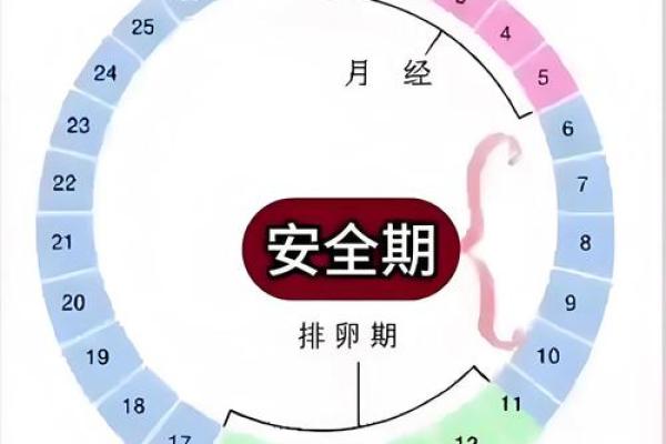 怀孕危险期分别是哪几天 怀孕危险期和安全期日历表