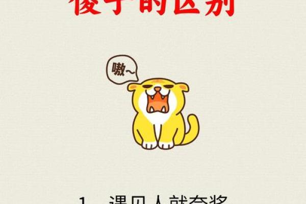 脑子笨智商低是天生的吗 智商低是笨的意思吗