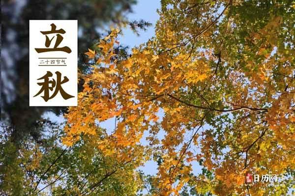 2018立秋是几月几日(2018年立秋是什么时候)