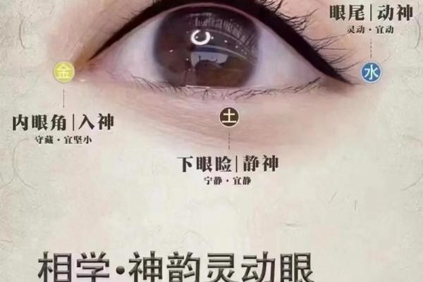 眉毛相连有什么说法 眉毛相连的人好不好