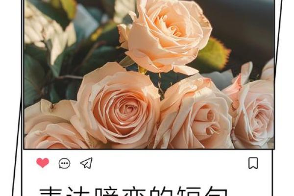 10月27日国际表白日如何向暗恋对象表达心意最合适？