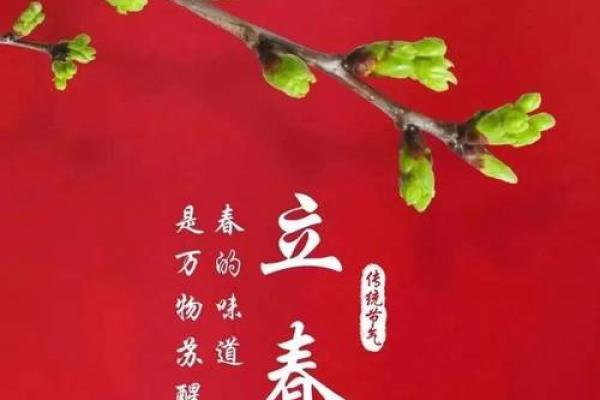 24年打春在几月几日几点(二十四年春)