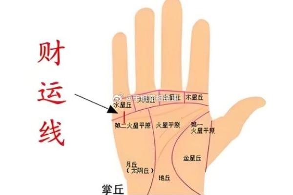 手掌纹路图解大全 男人手掌纹看相
