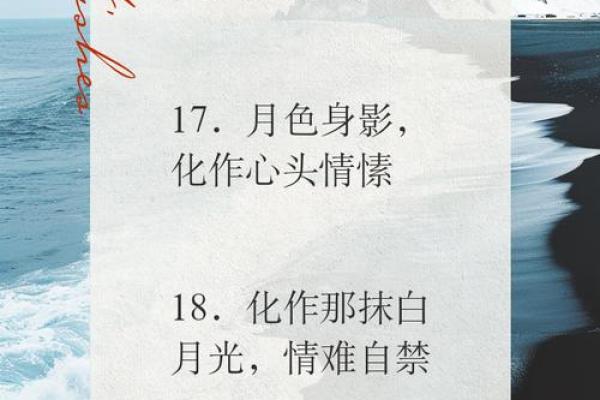 爱而不得是白月光还是朱砂痣 意难平,白月光,朱砂痣