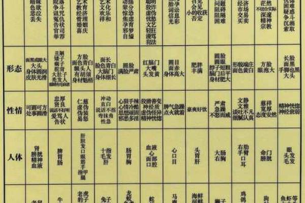 为什么卯支的配偶就是高 地支为卯另一半