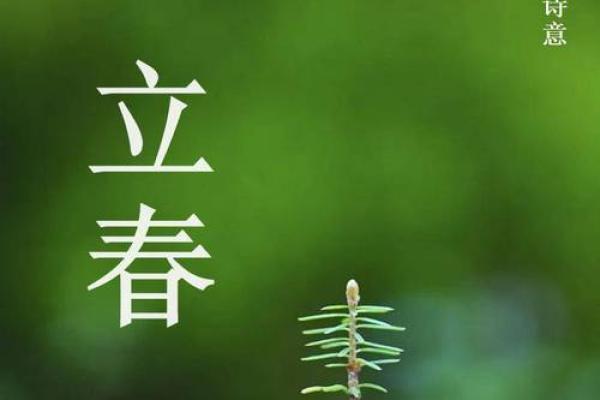 今天立春是什么时间2024年几点