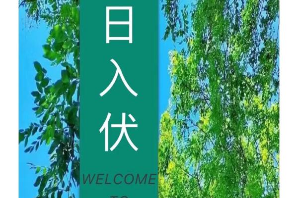 暑伏是几月几号2021(暑伏是几月几号2024第二伏)