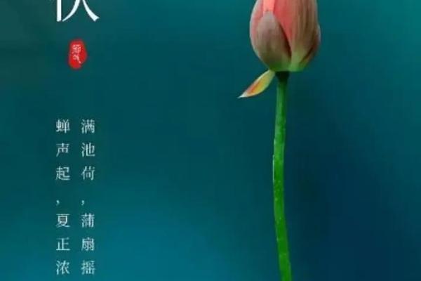暑伏是几月几号2021(暑伏是几月几号2024第二伏)