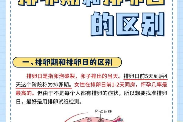排卵安全期是哪几天 排卵安全期是什么时候