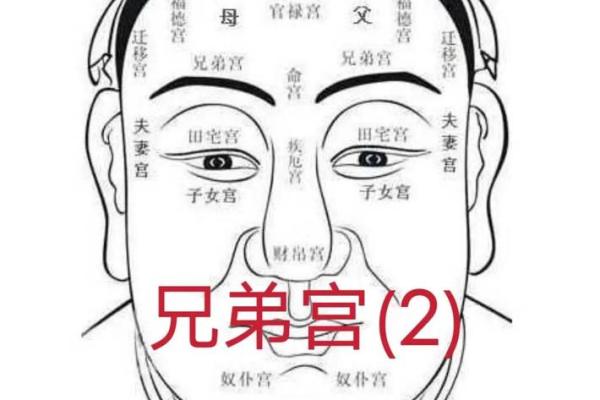 眉毛之间叫什么 眉毛之间叫什么骨头