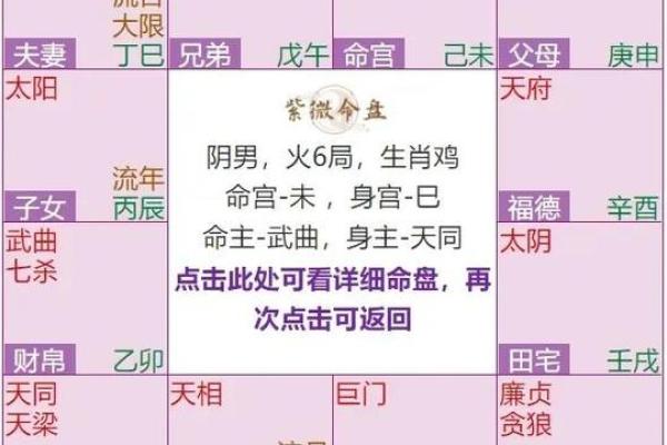 紫薇排盘怎么看(紫薇排盘怎么看寿命)