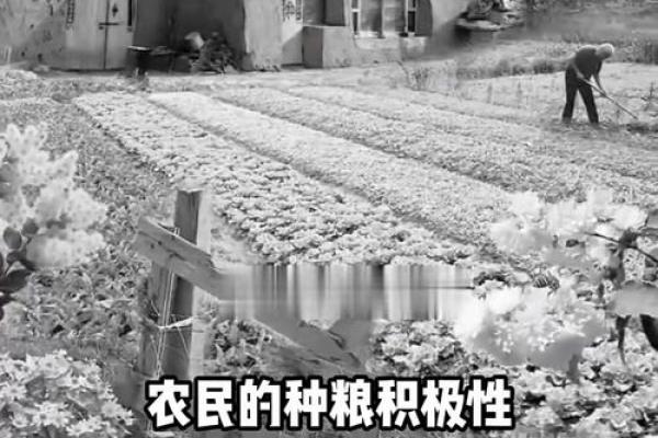 分田到户是哪一年开始的 分田到户是哪一年开始的,最早在哪个省