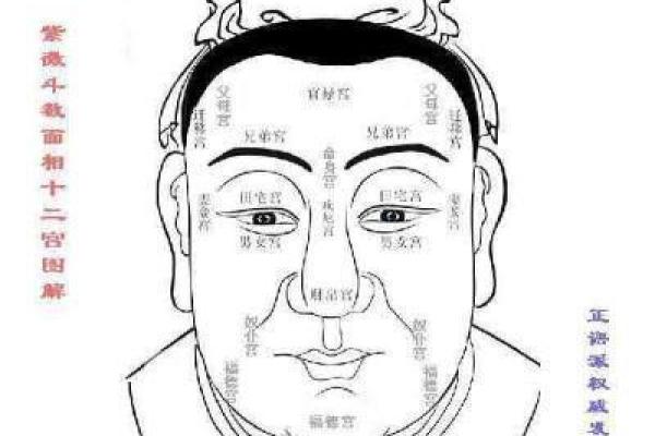 眉毛破相是好事还是坏事 眉毛破相之人必有大相