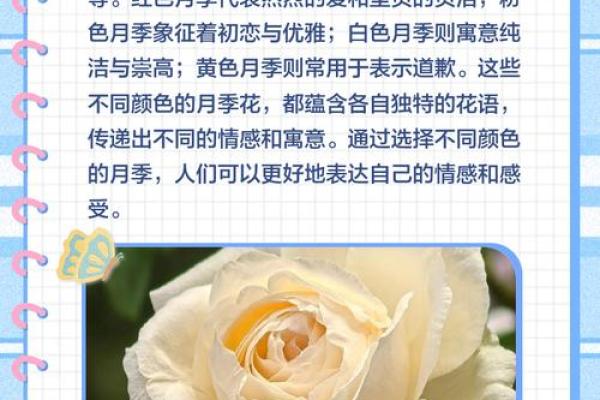 是几个月 季卡是几个月