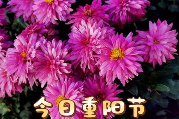 2020年重阳节具体日期是哪一天，农历九月初九吗