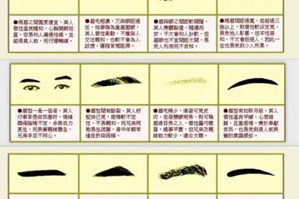面相学眉毛说法 面相里眉毛代表什么意思