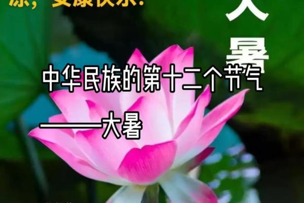 六月初六是哪个神仙的生日？求详细解答和习俗介绍