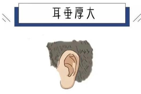 耳低于眉有什么说法 耳低于眉毛
