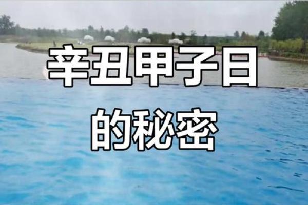 辛丑年辛丑月甲子日甲子时