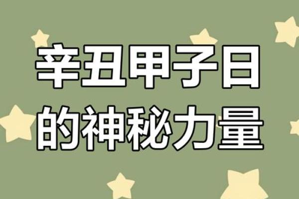 辛丑年辛丑月甲子日甲子时