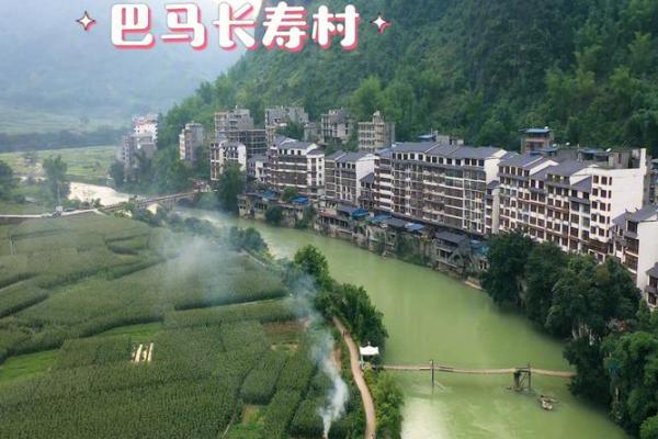 南宁到巴马多少公里(南宁到巴马多少公里车票多少钱)