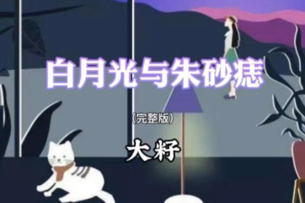你有白月光我有朱砂痣 你有你的白月光