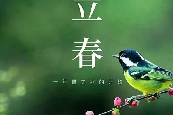 今年打春是哪天2021几点打春(今年打春是哪一天什么时候时间)