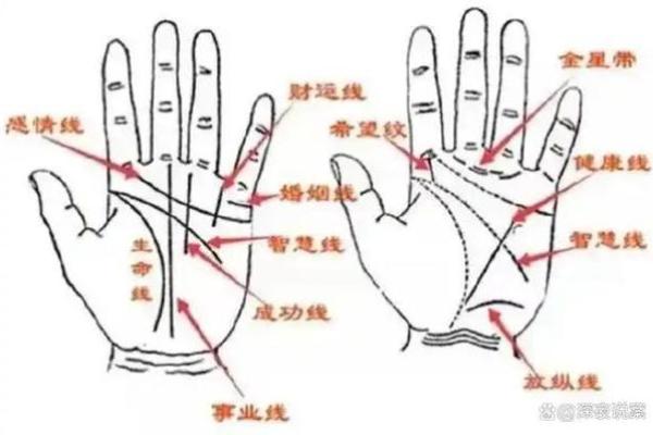 无名指长于食指什么意思 无名指长于食指的女性什么命