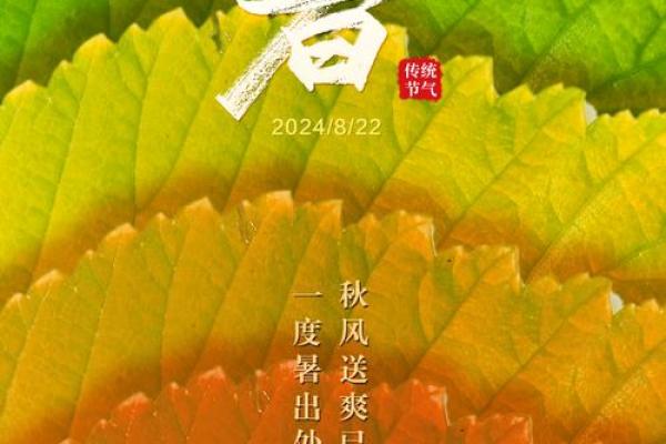 处暑的处是三声还是四声
