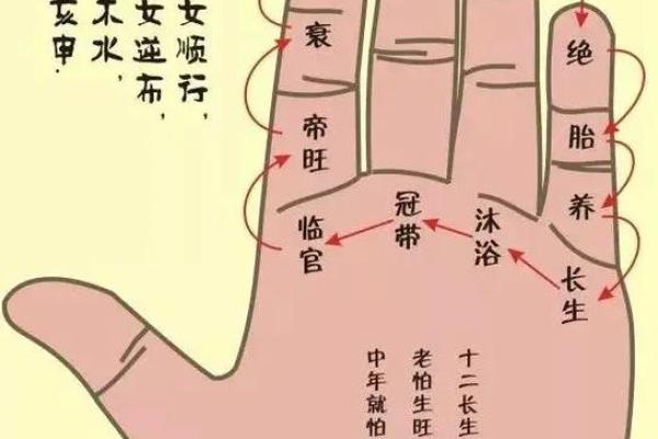 有夫妻 有夫妻宫是什么意思
