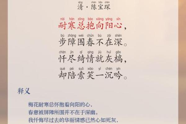 一庭花影三更月