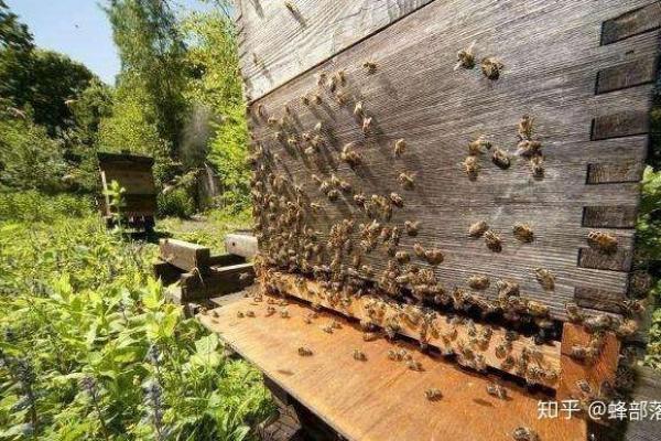 蜂王煞日是哪几天 蜂王煞口诀