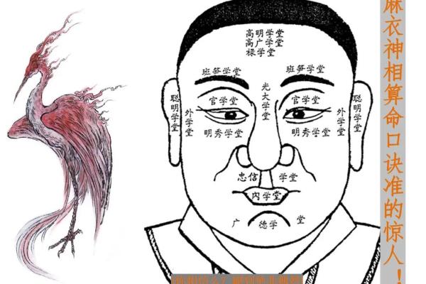 手上痣相图解 麻衣神相痣相图解