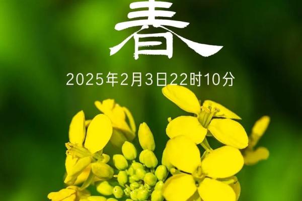 2020年立春是几月几号(2020年立春是几月几日几时)