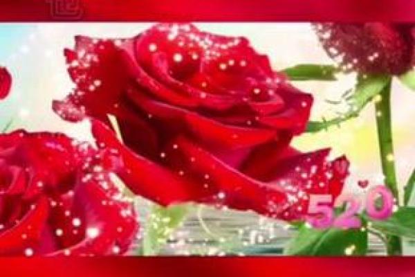 12月14日拥抱情人节具体含义是什么以及如何庆祝？