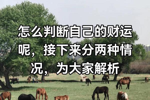 今日财运坐向 今日财运测算免费