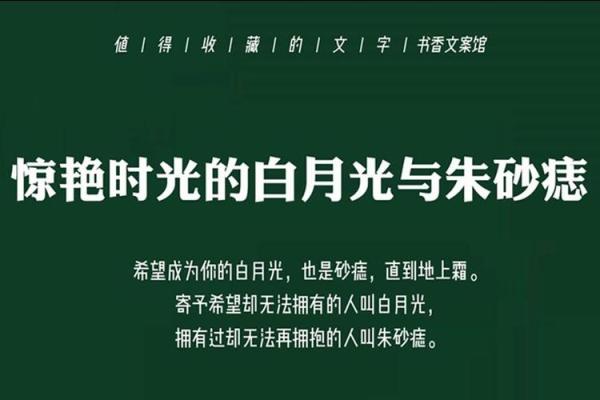 意难平朱砂痣白月光还有什么 白月光和意难平是什么意思