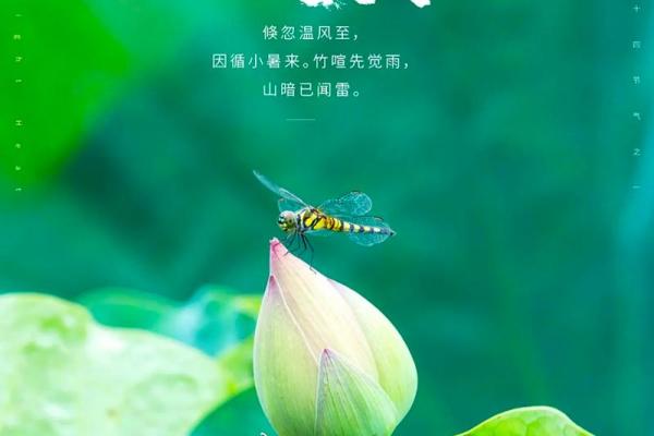 2021年哪天入伏(2021年哪天入伏哪天出梅)